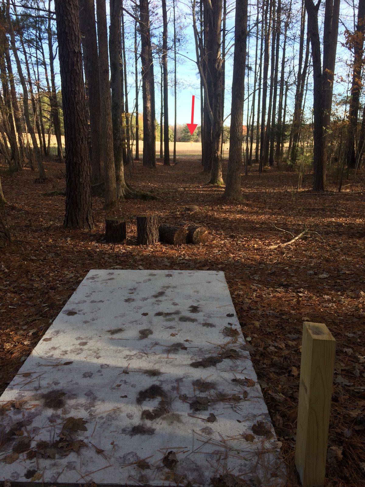 Hole #4 Tee