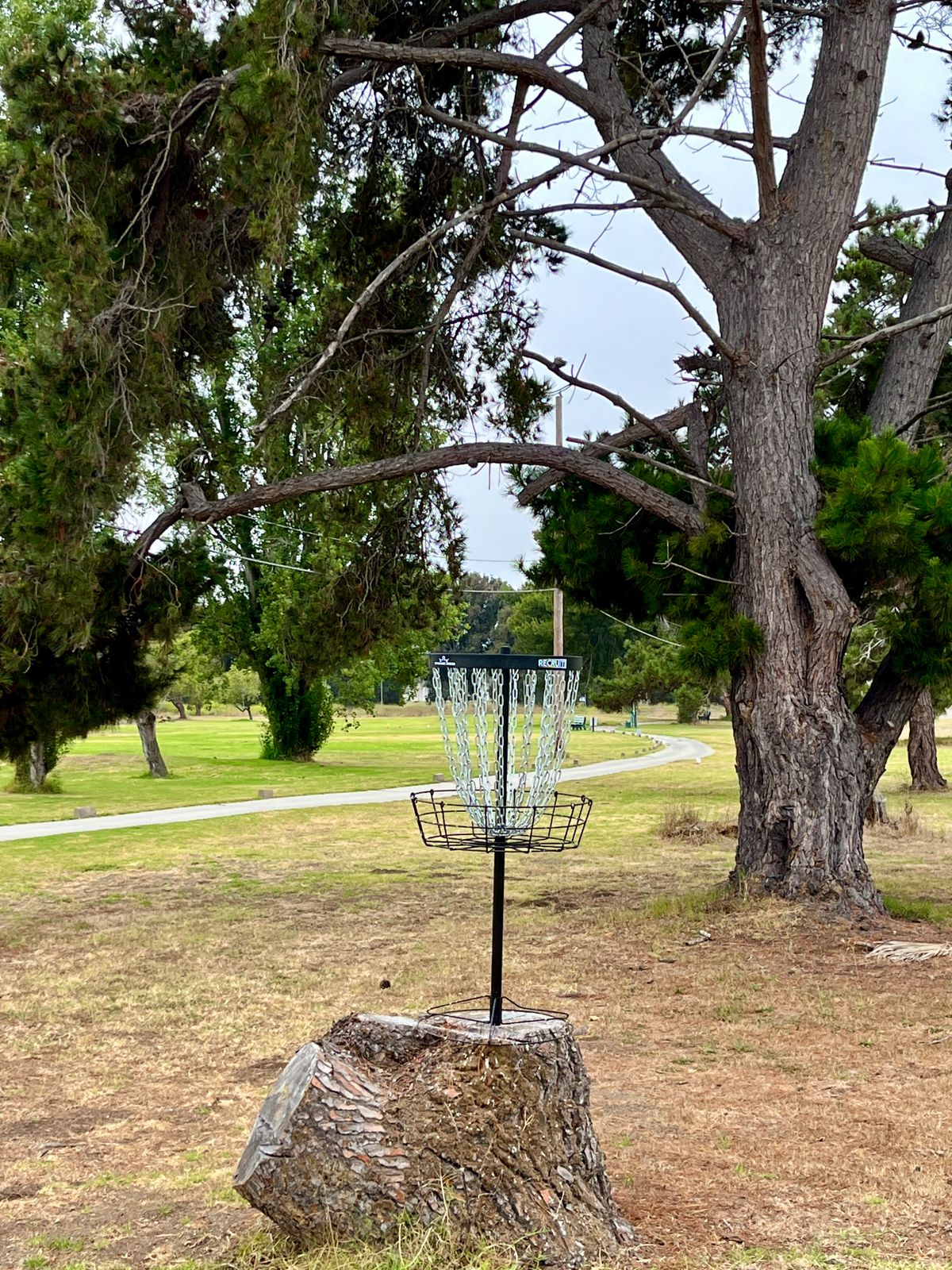 Basket on hole 4.