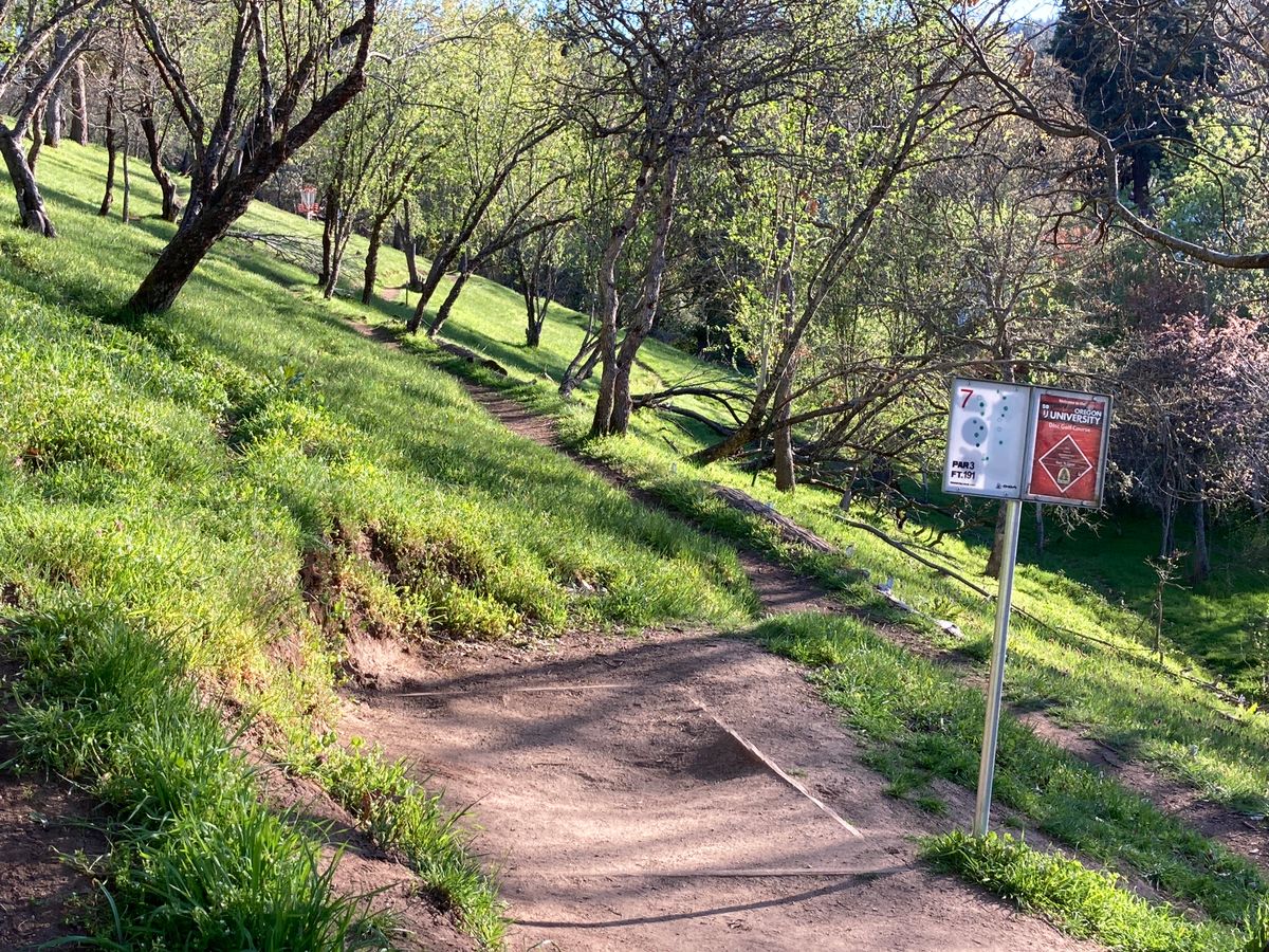 Tee 7