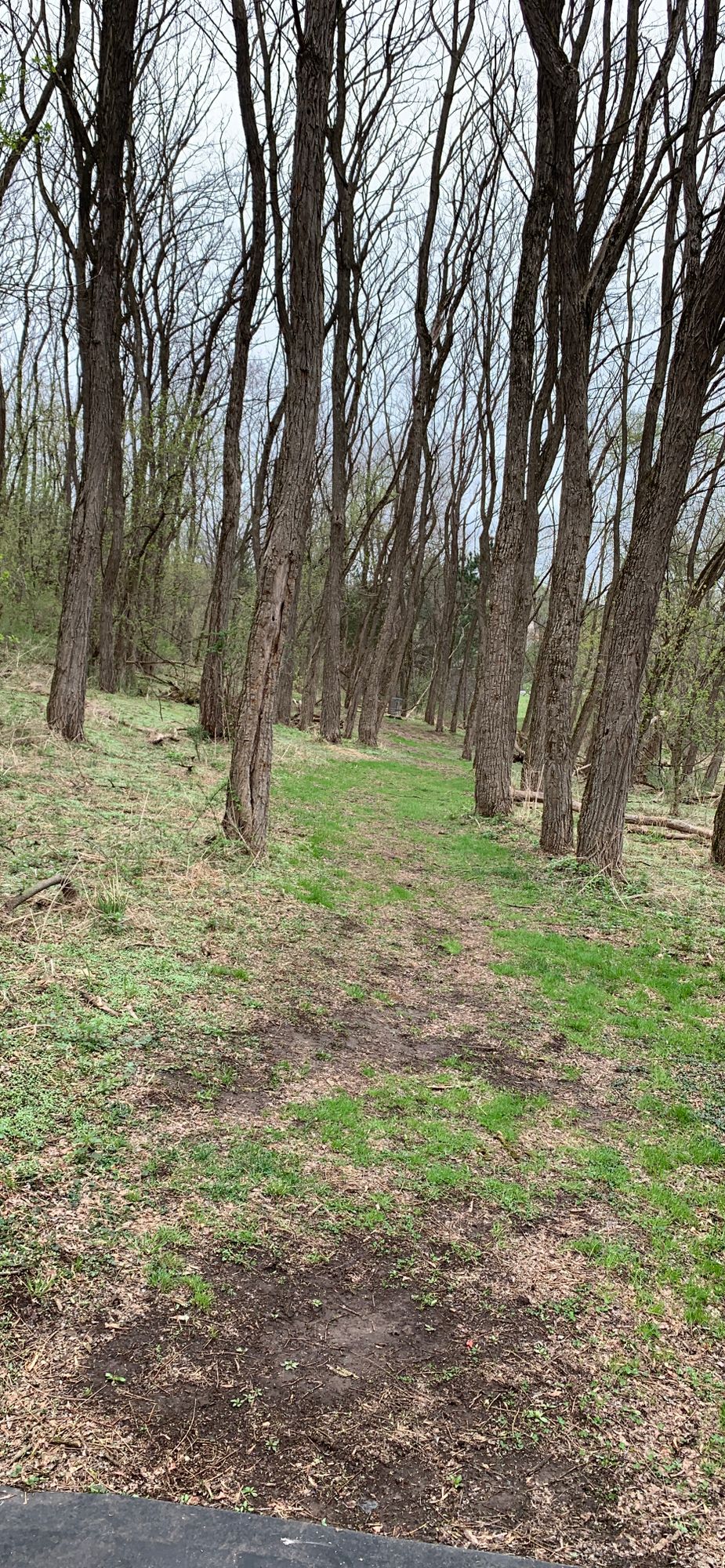 Hole 9 tee