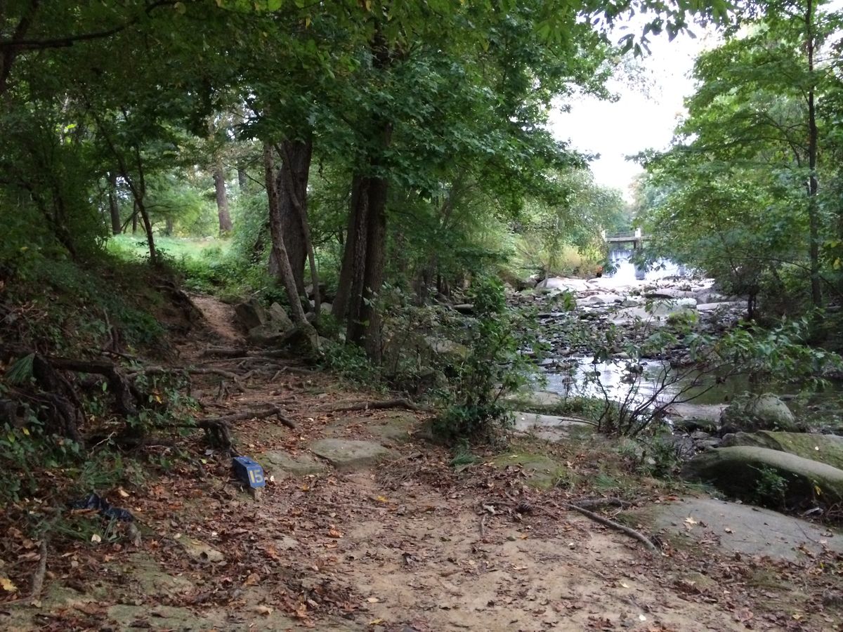 Hole 15