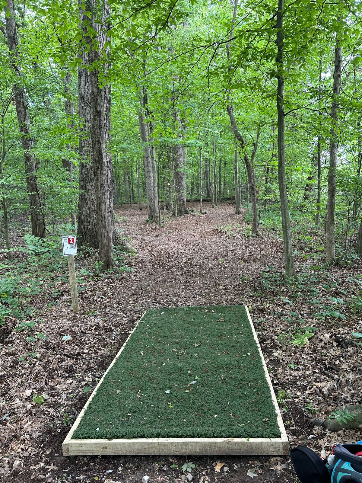 Hole 2 180ft par 3