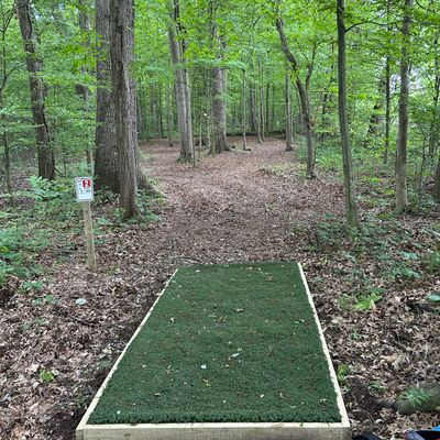 Hole 2 180ft par 3