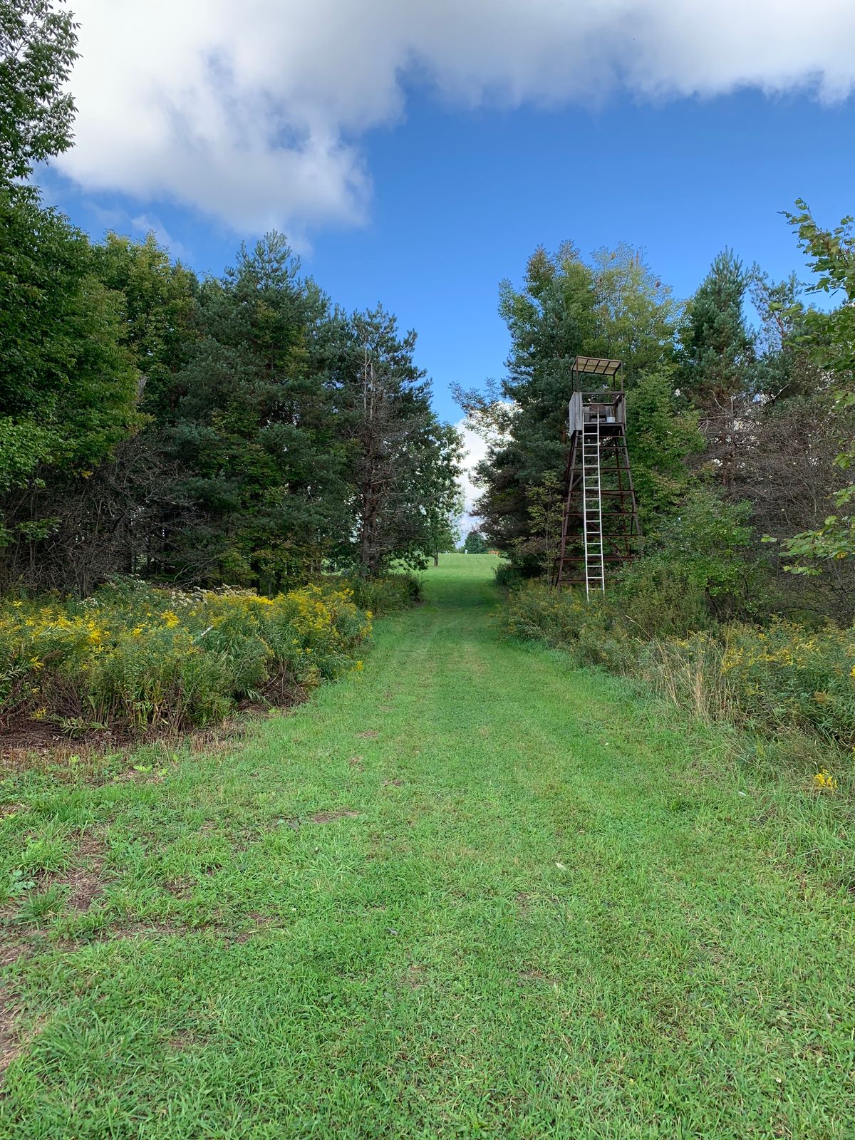 Hole 7