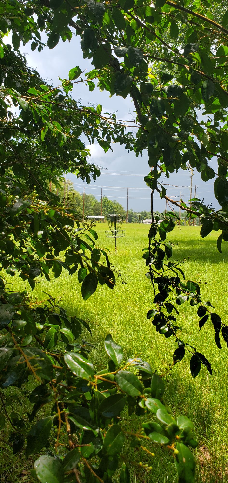 Hole #14