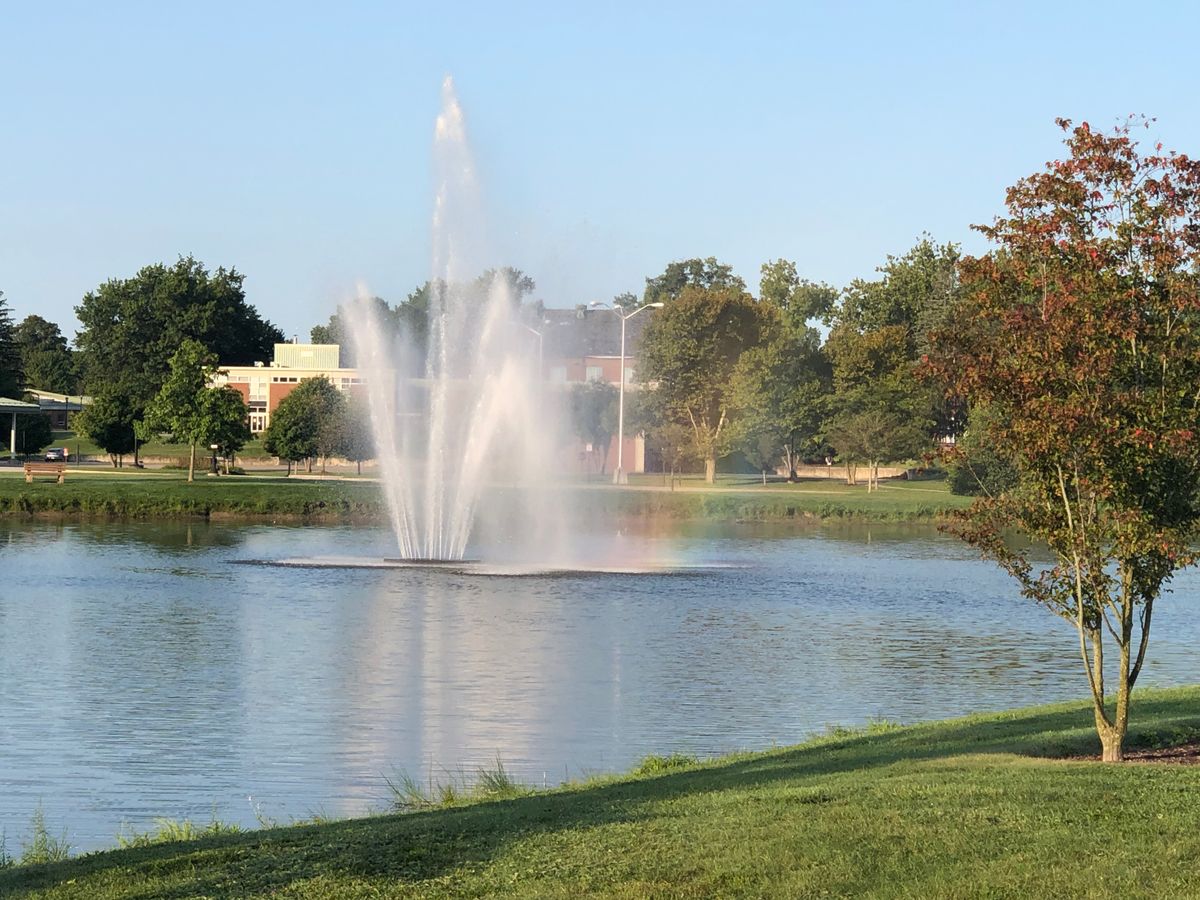 Mallory fountain from basket 4