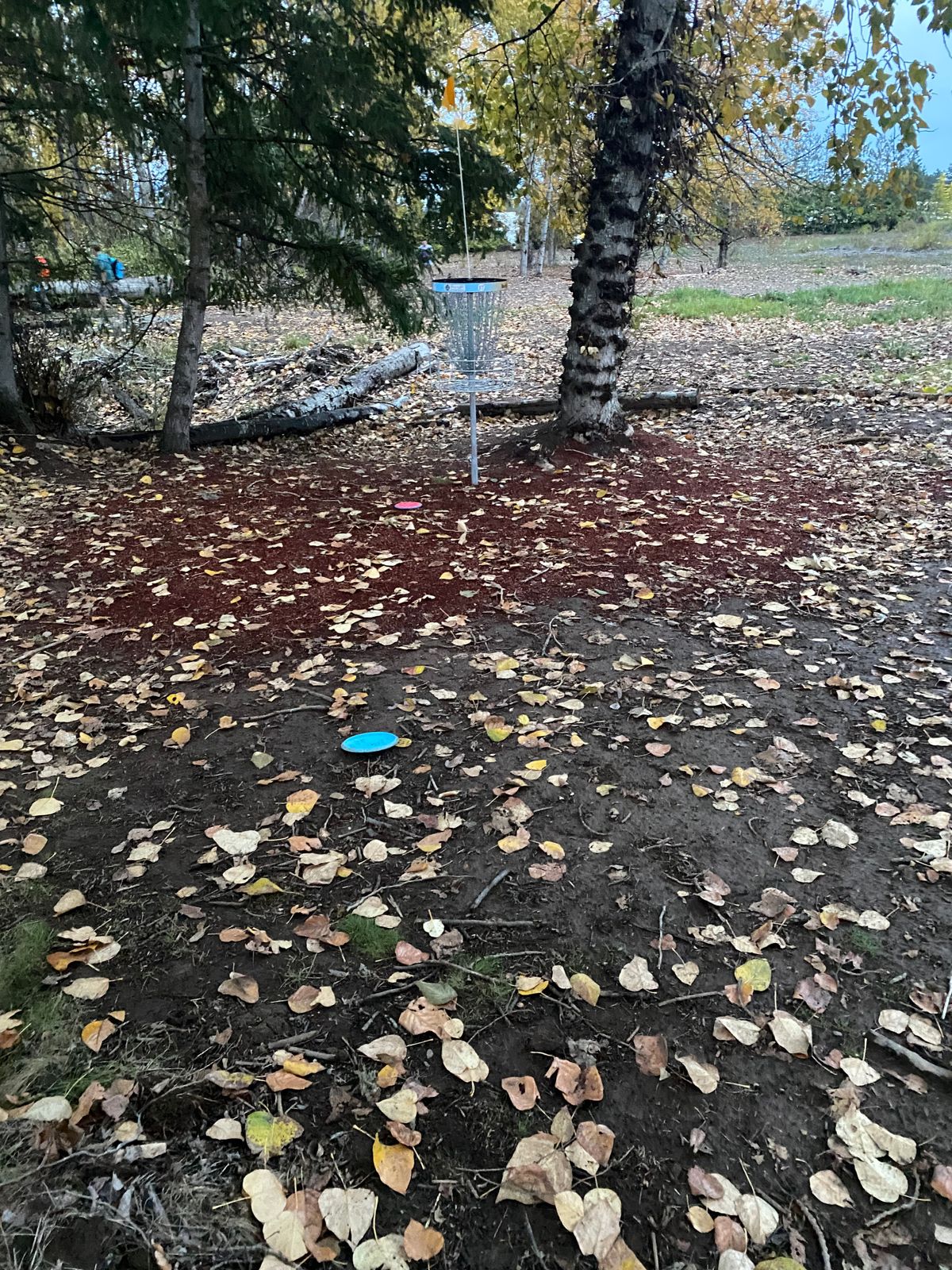 Hole 17 basket - 11/3
