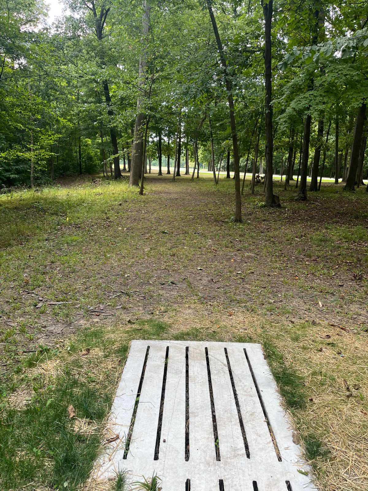 Hole 2