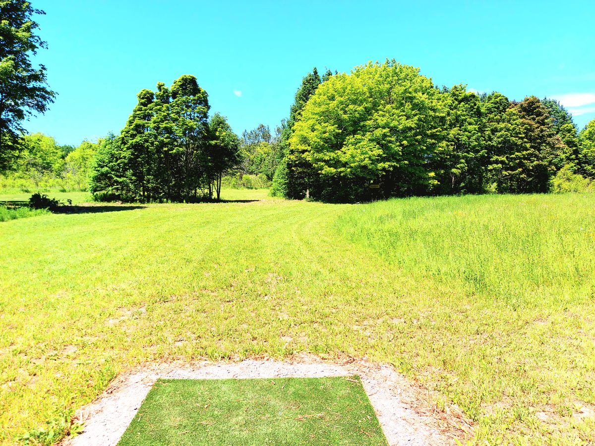 Hole six from pink. 🌳🪵🌳🪵🌳