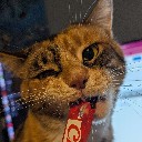 User avatar image