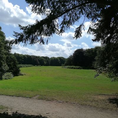 Frisch gemäht, super geil!