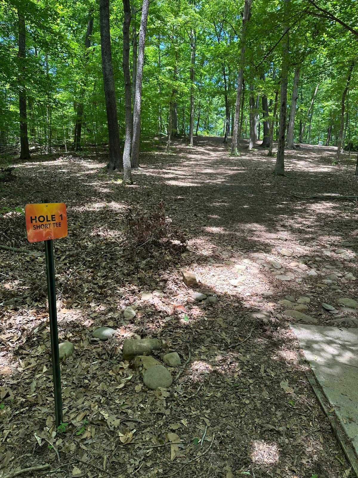 Hole 1 Short Tee