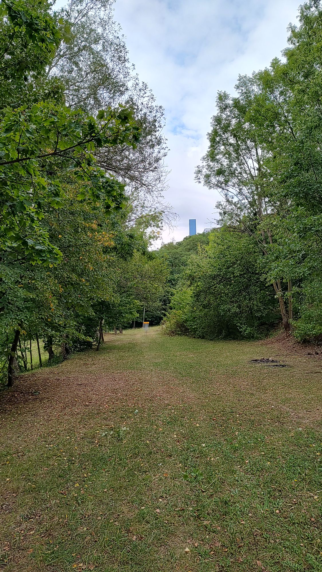 Hole #5