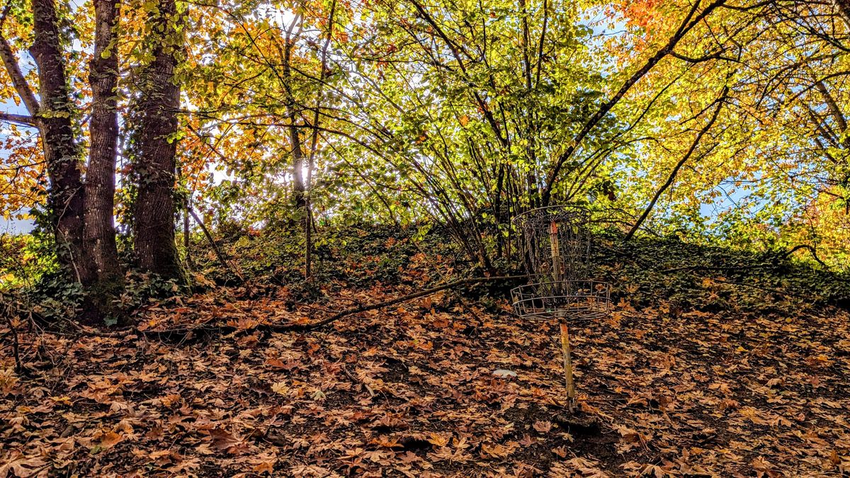Hole 11 featuring Fall colors