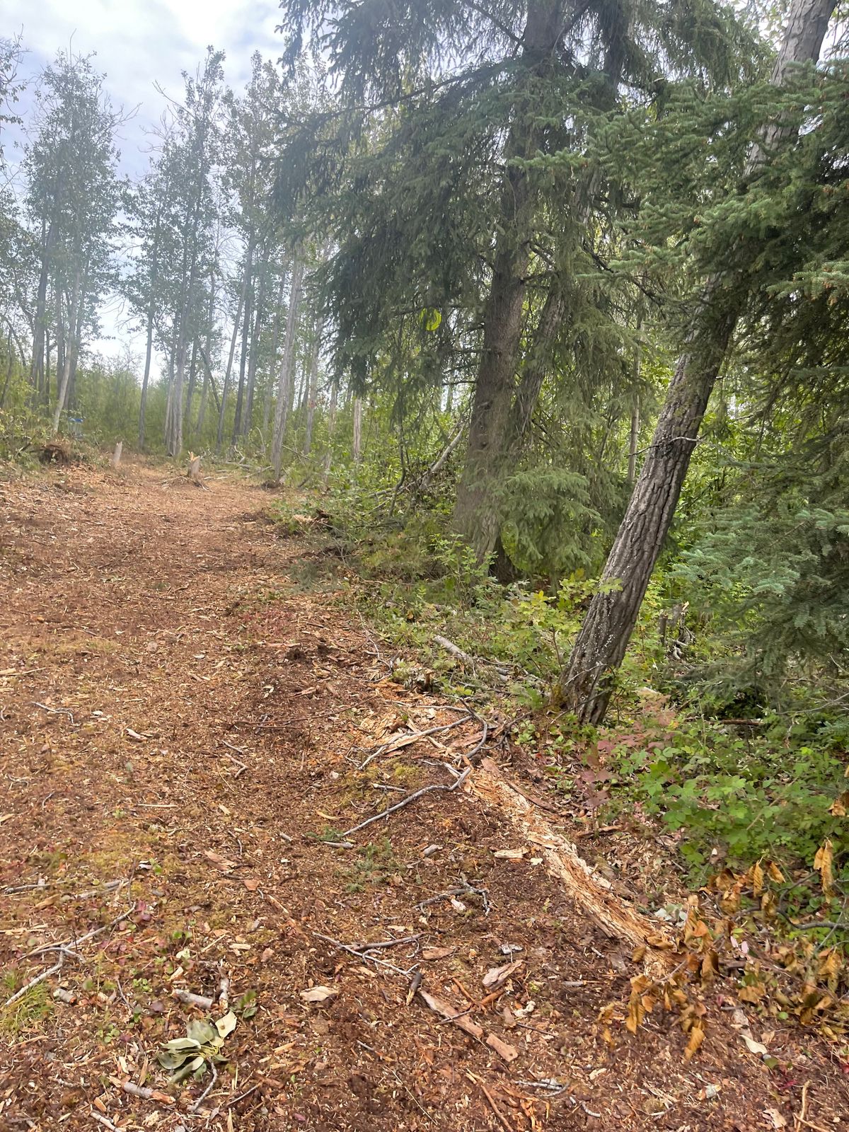Hole 8