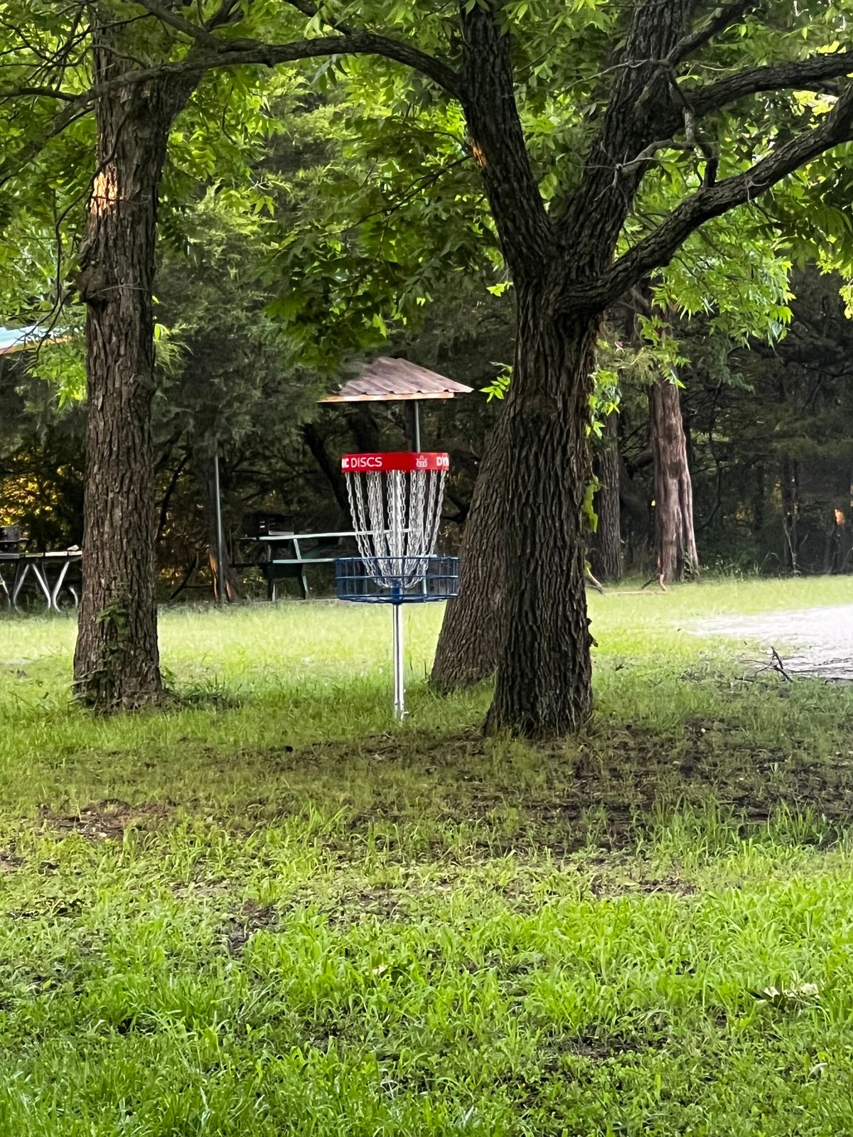 Hole # 3 Basket