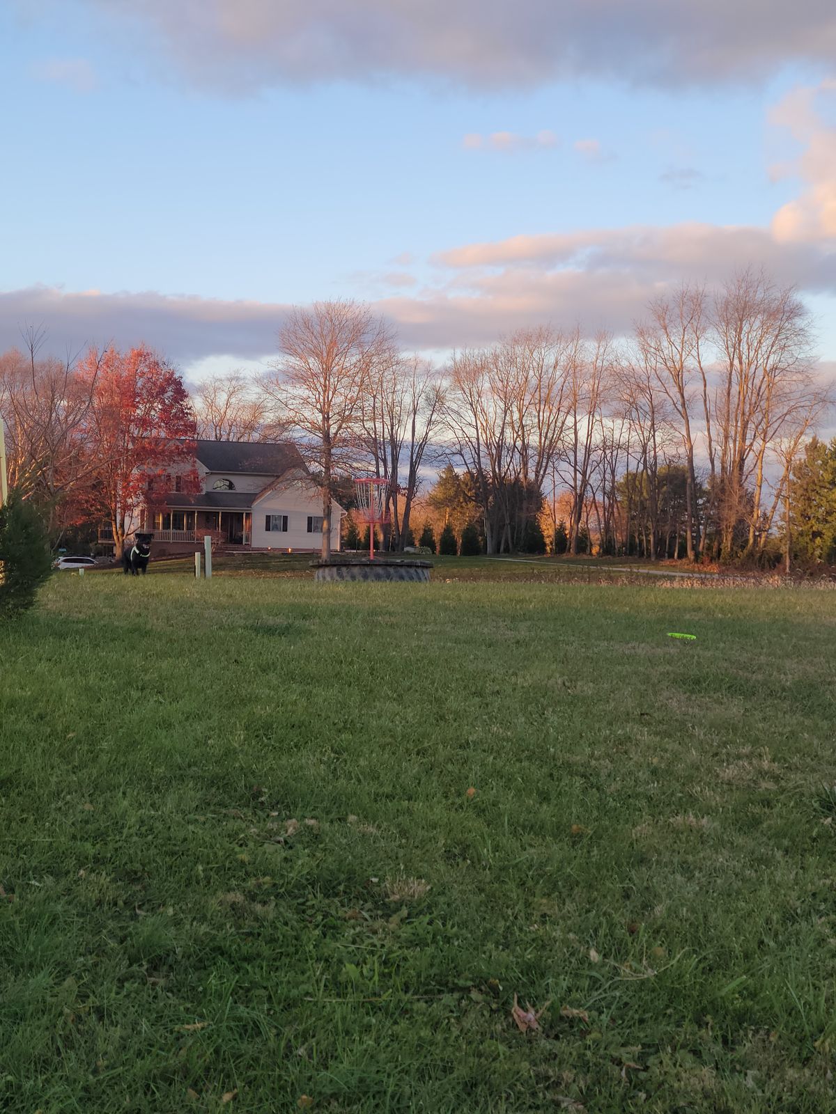 Hole 2 elevated basket