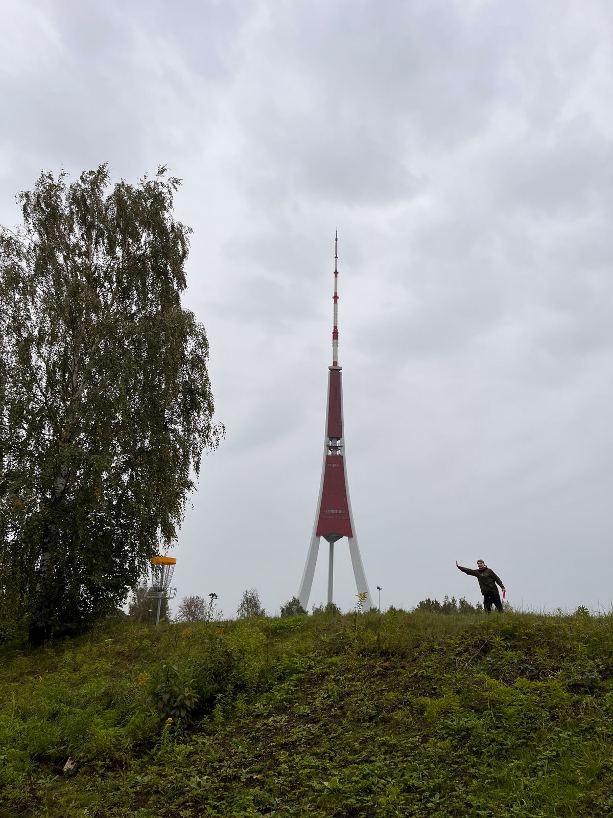 skaistākais grozs