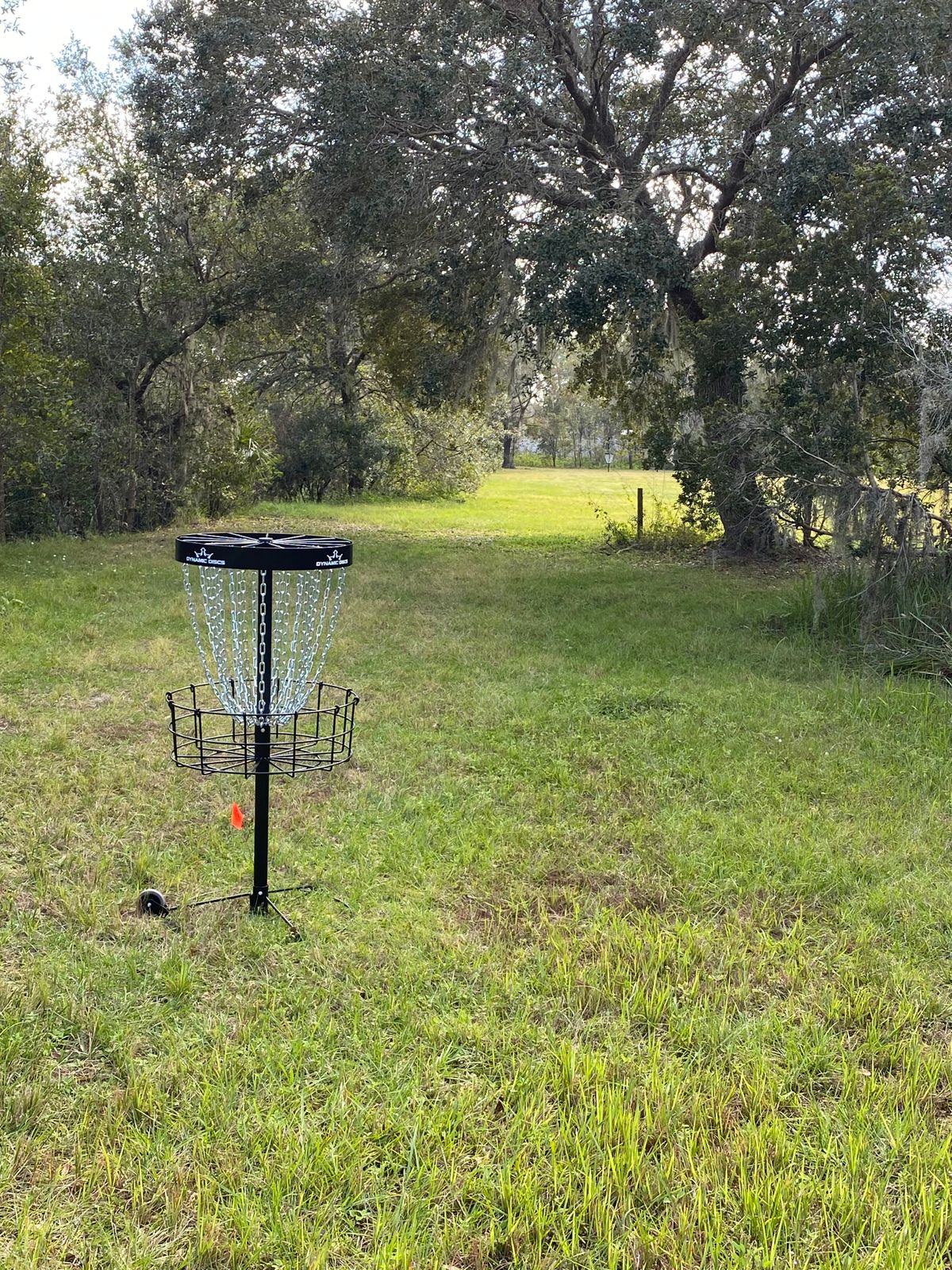 Hole 6 looking toward tee pad.
