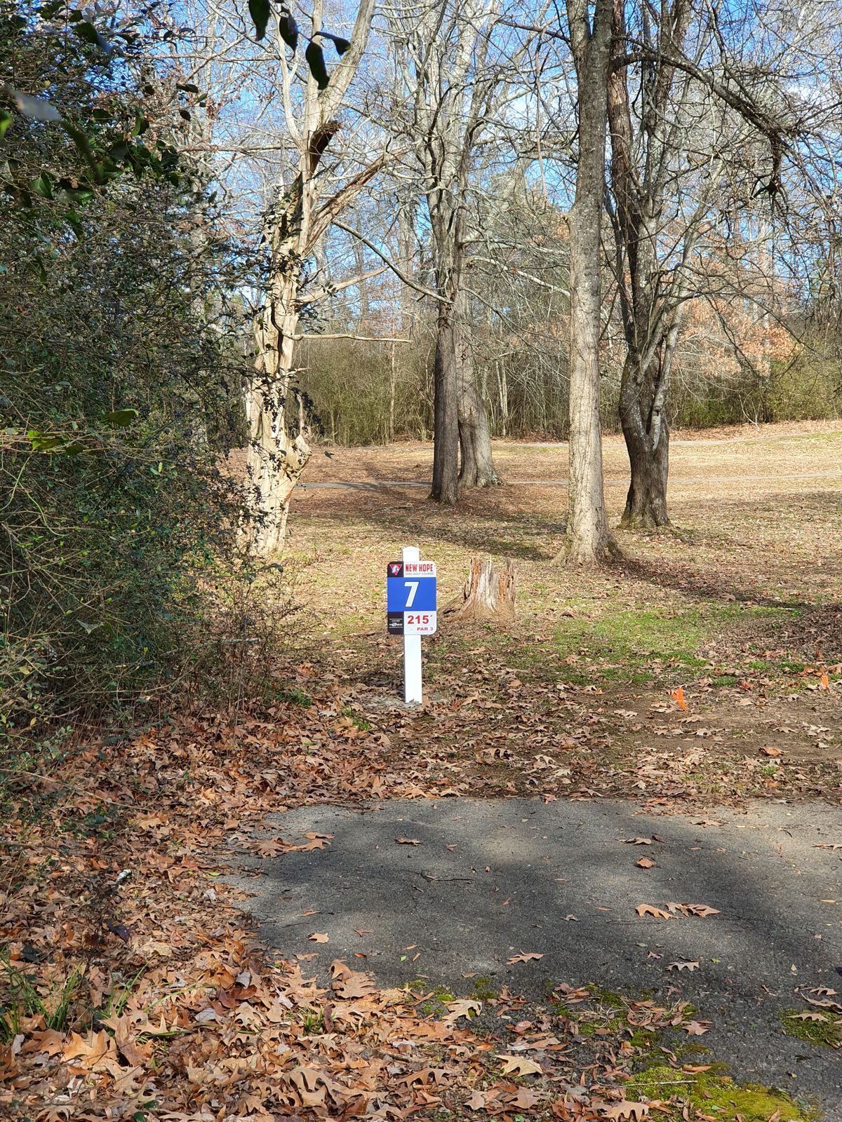 hole 7