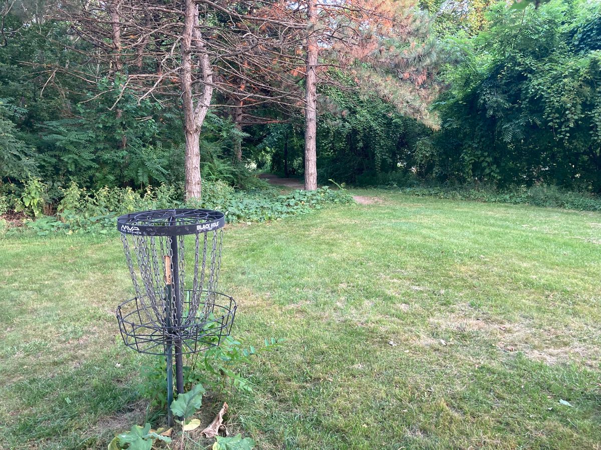 Main #5 Green