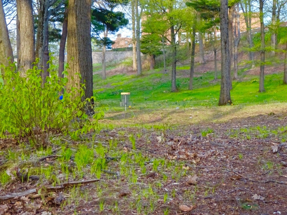 Hole 3 basket