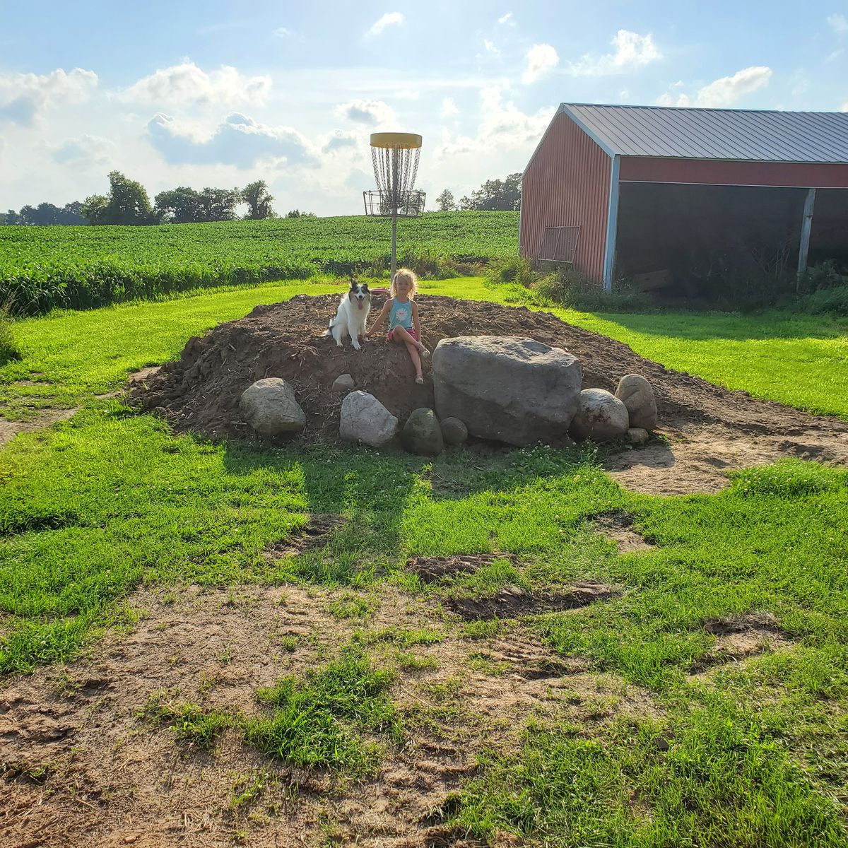 Hole 5 basket