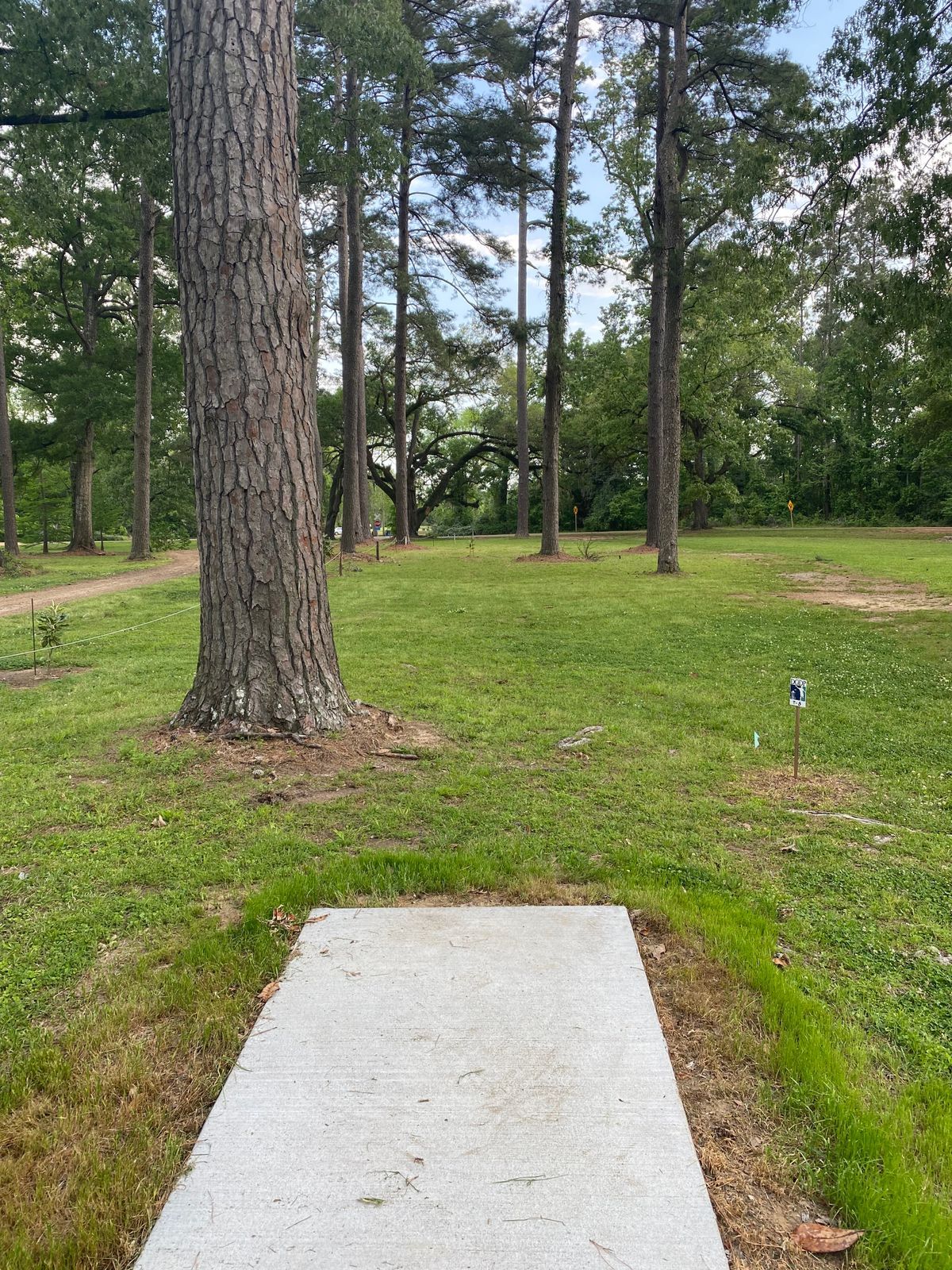 Tee 5