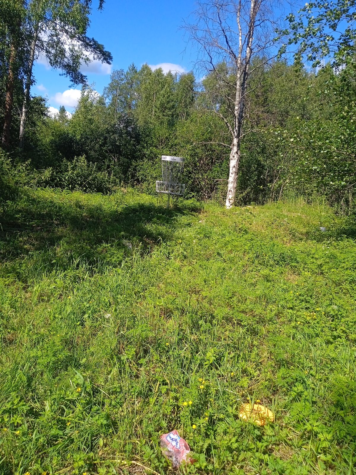 1 väylän kori paikka joka usein on heinänpeitossa