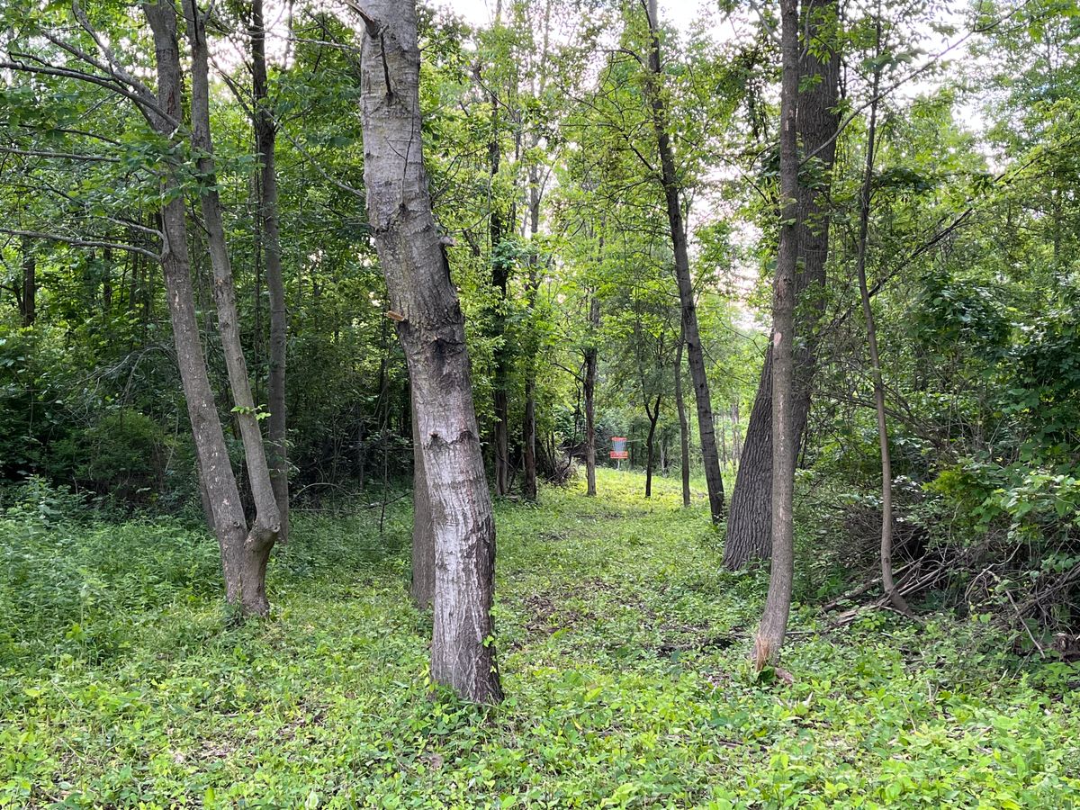 Hole 17 Par 4 approach