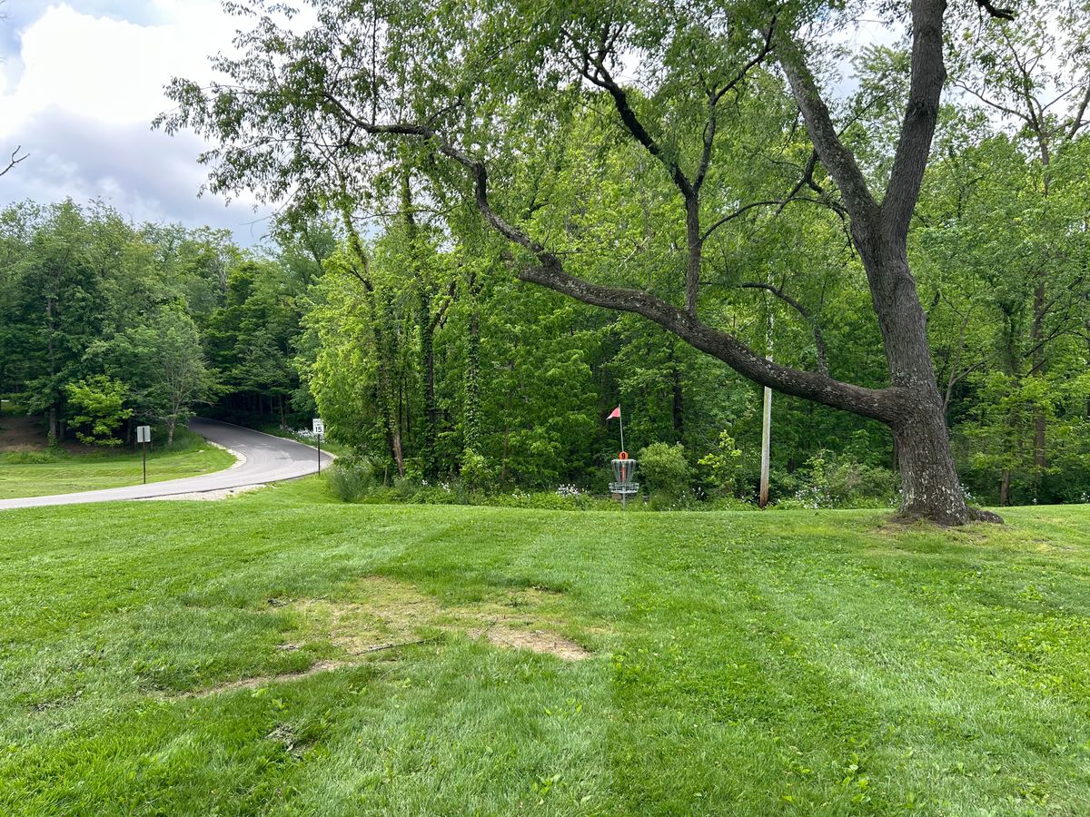 Hole 9 basket