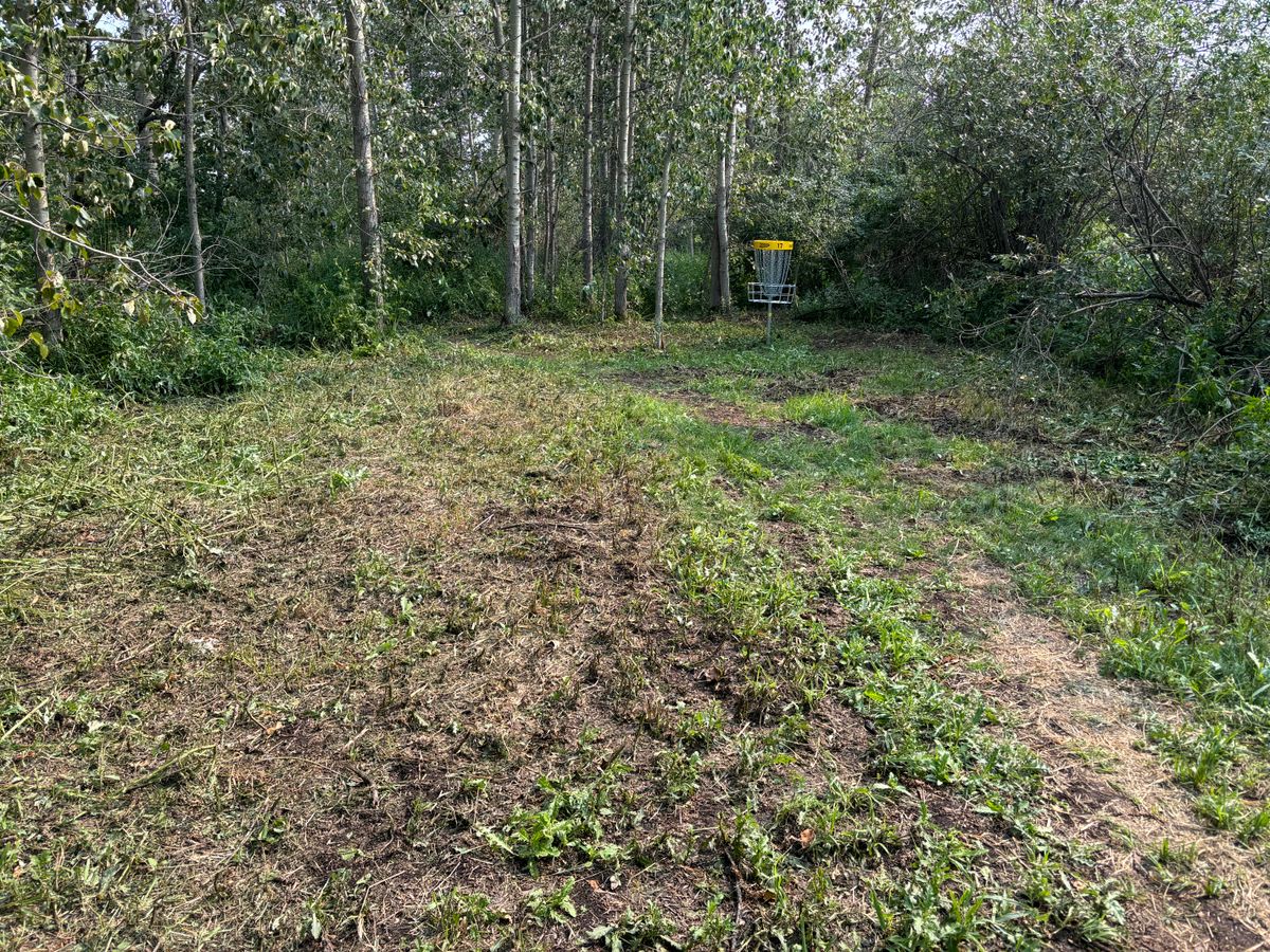 Hole 17 green