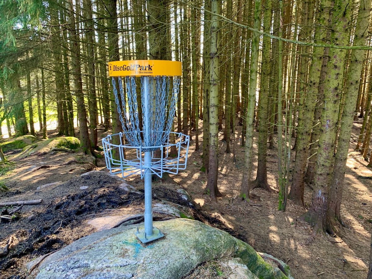 Hull 1 ..in the woods