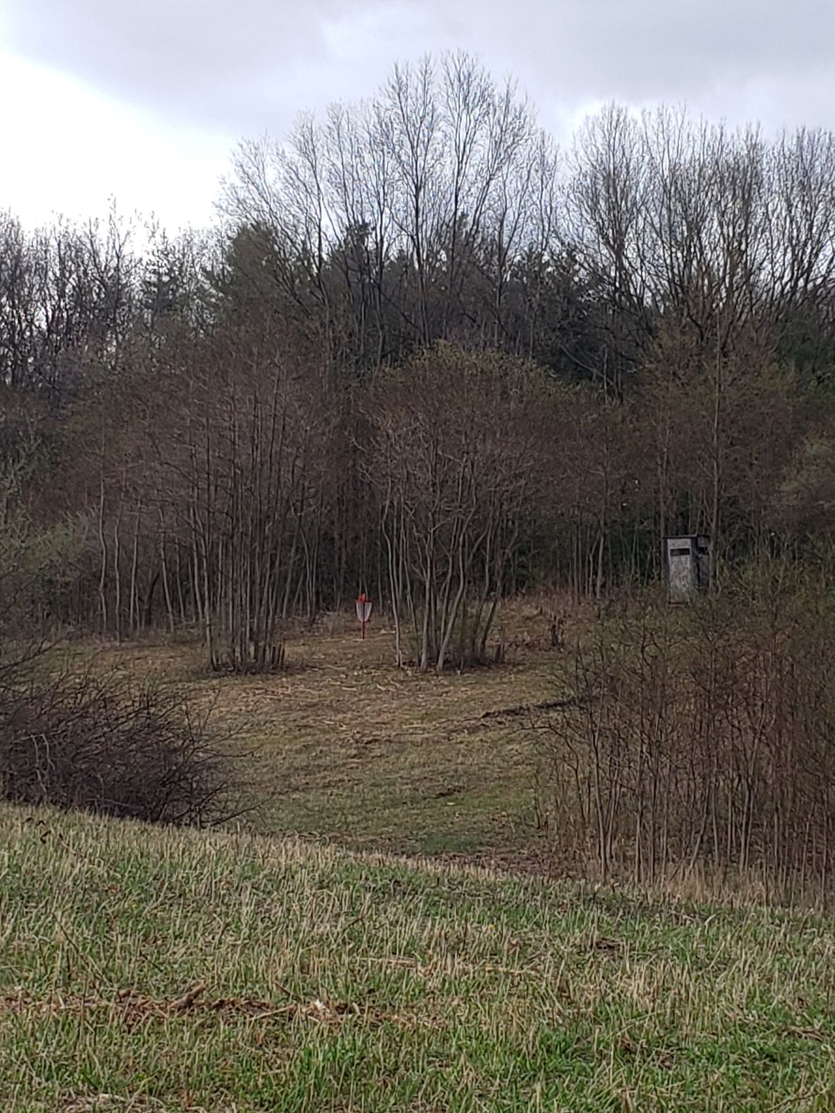 Hole 6