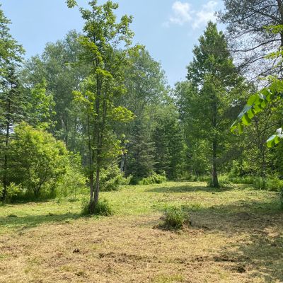 Hole 3 white tees getting better