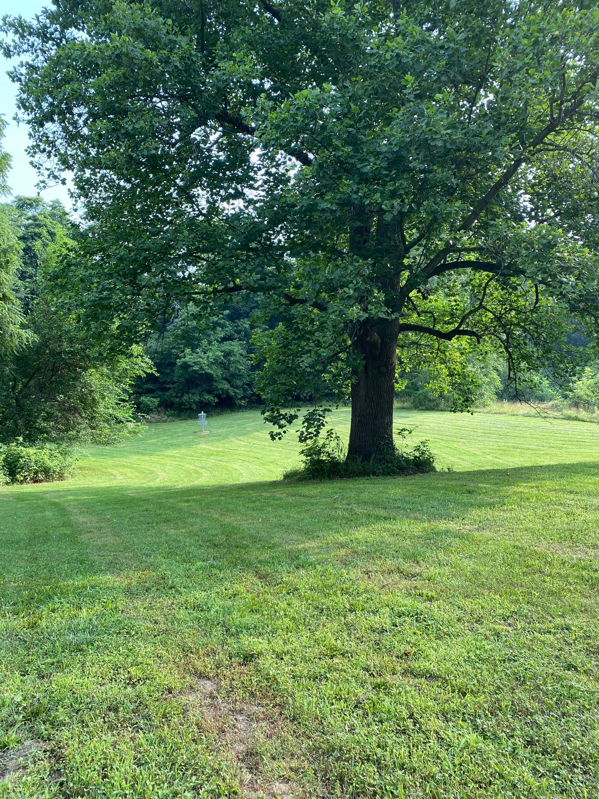 1st hole. Nice rolling hills before the challenge begins