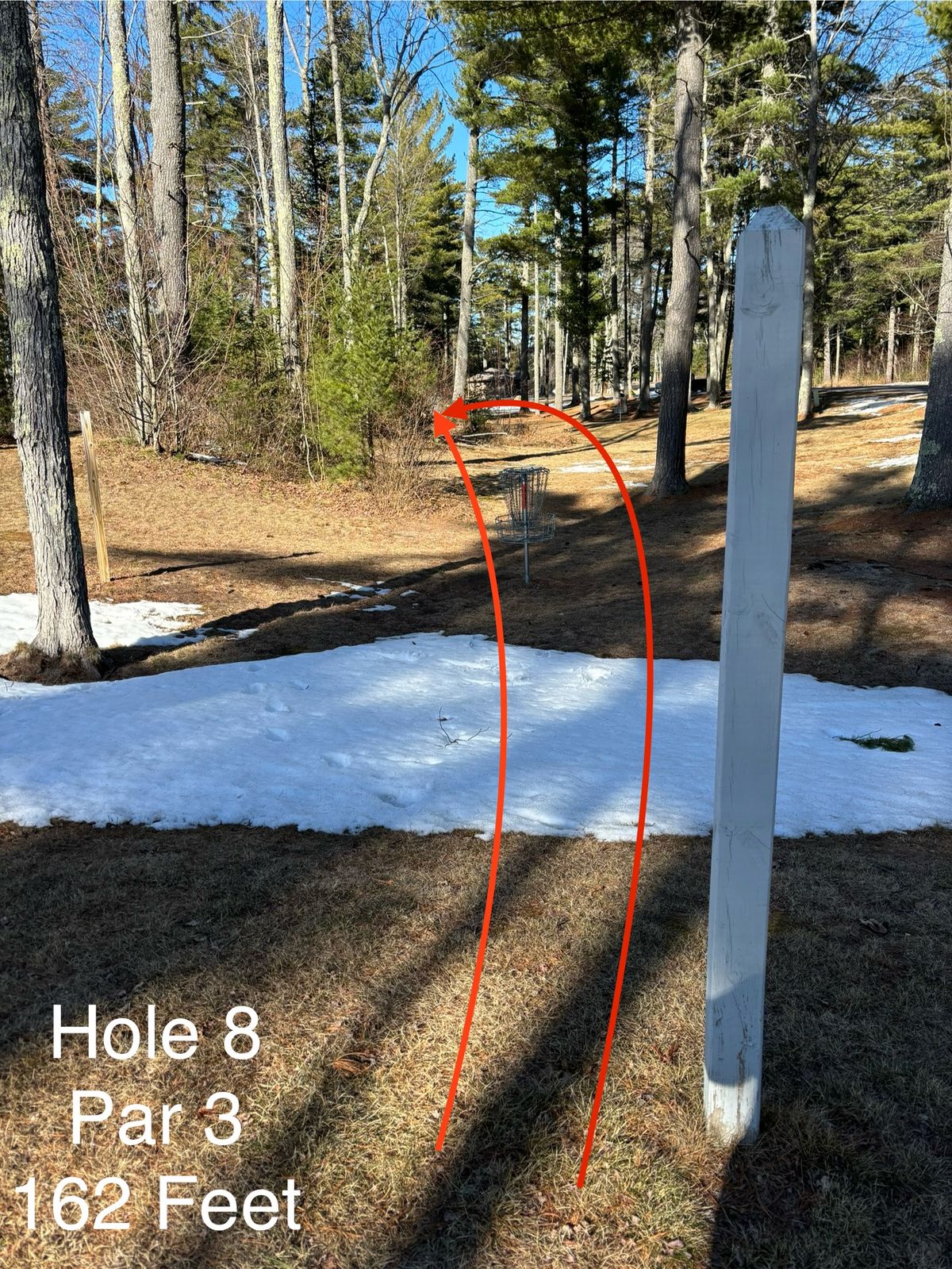 Hole 8 Shorts