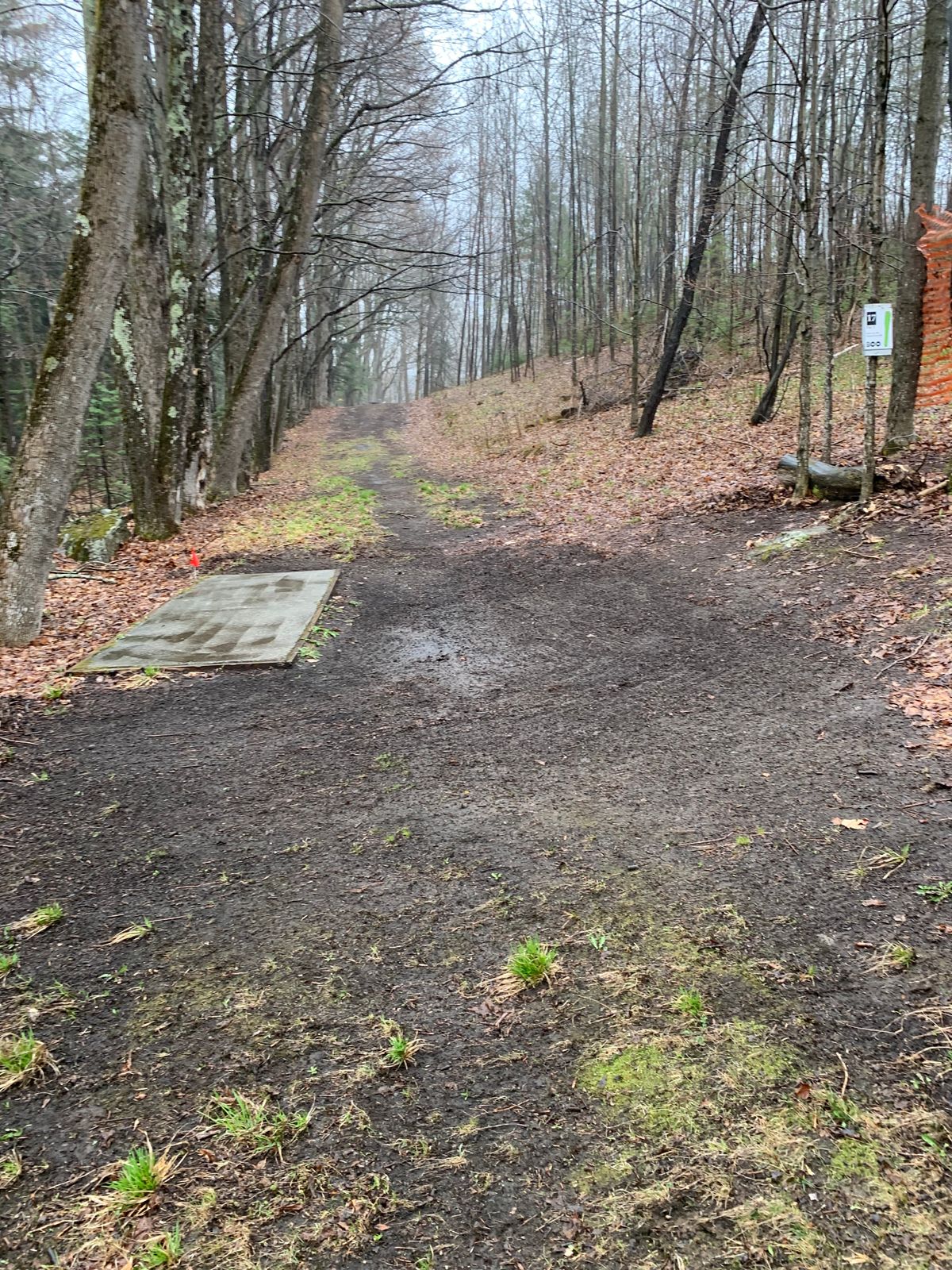 Hole 17!