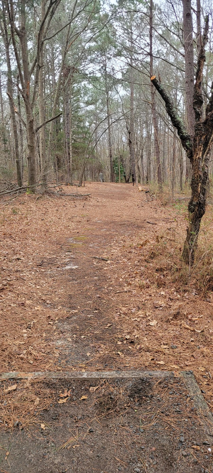 Orange Tee, Hole 18