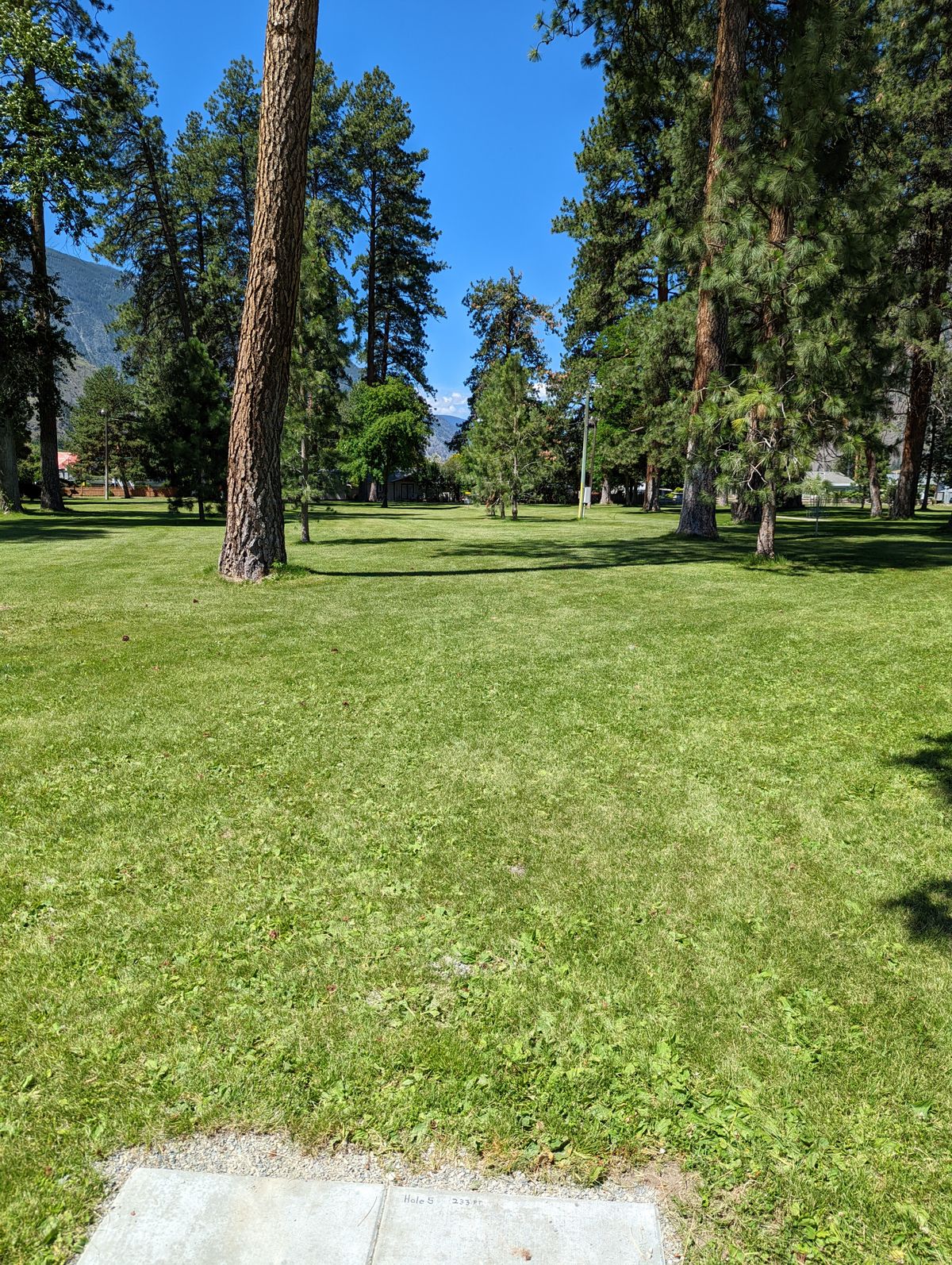 Hole 5 - 233'