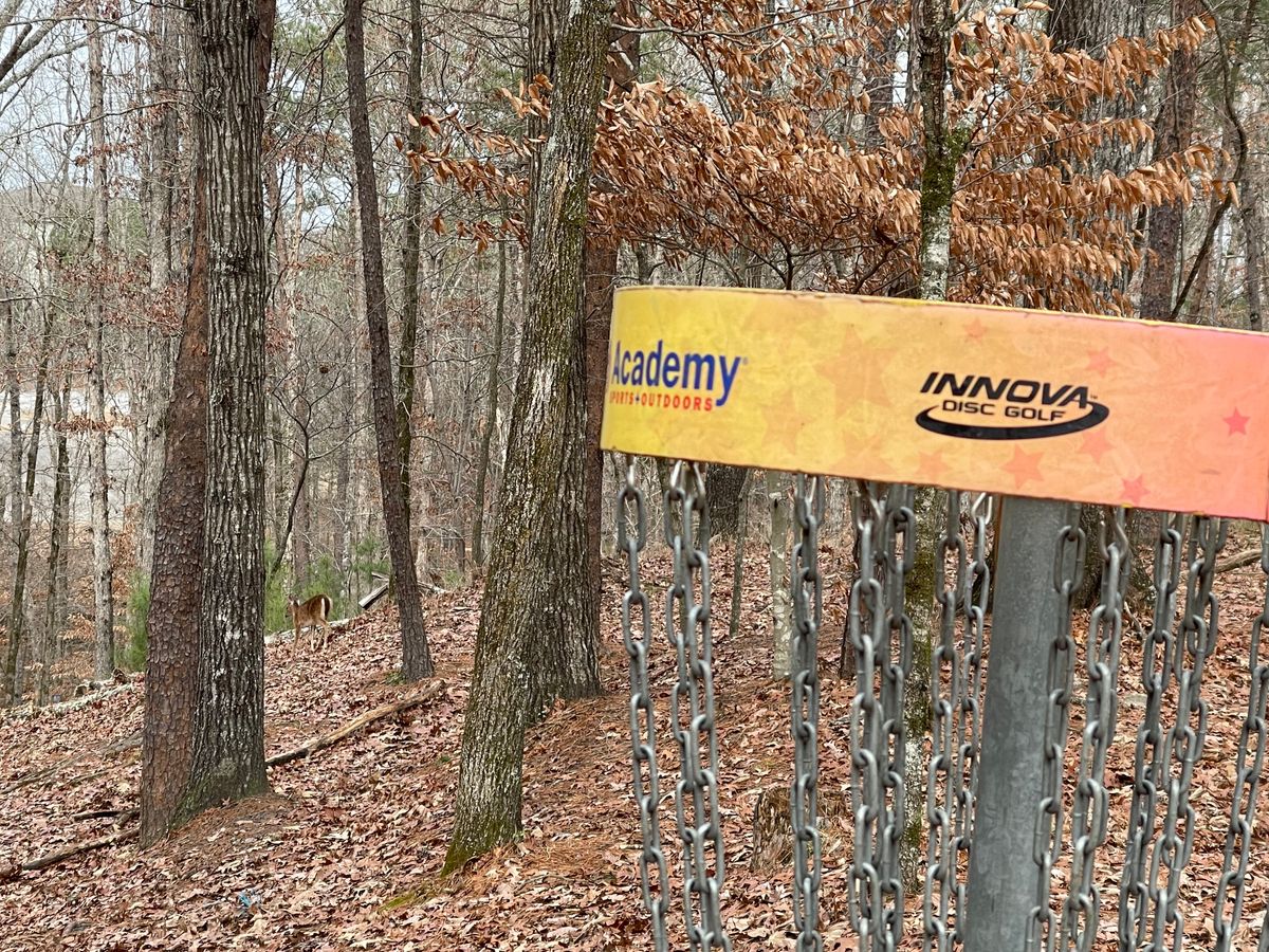 Hole 15 Basket.