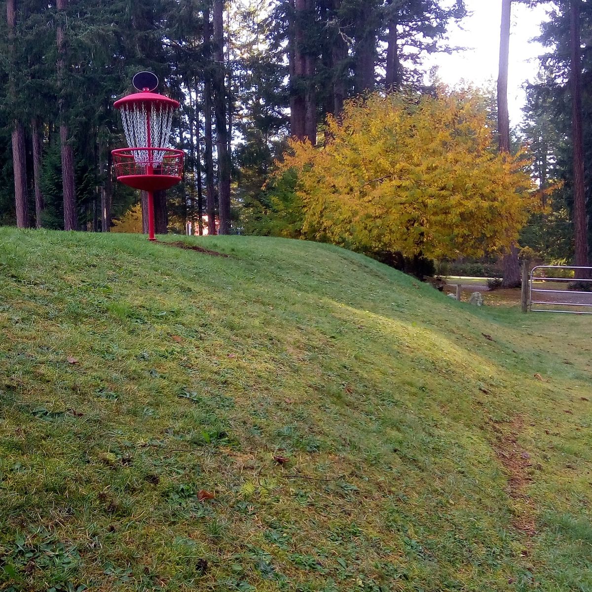 The ledge behind №4 basket