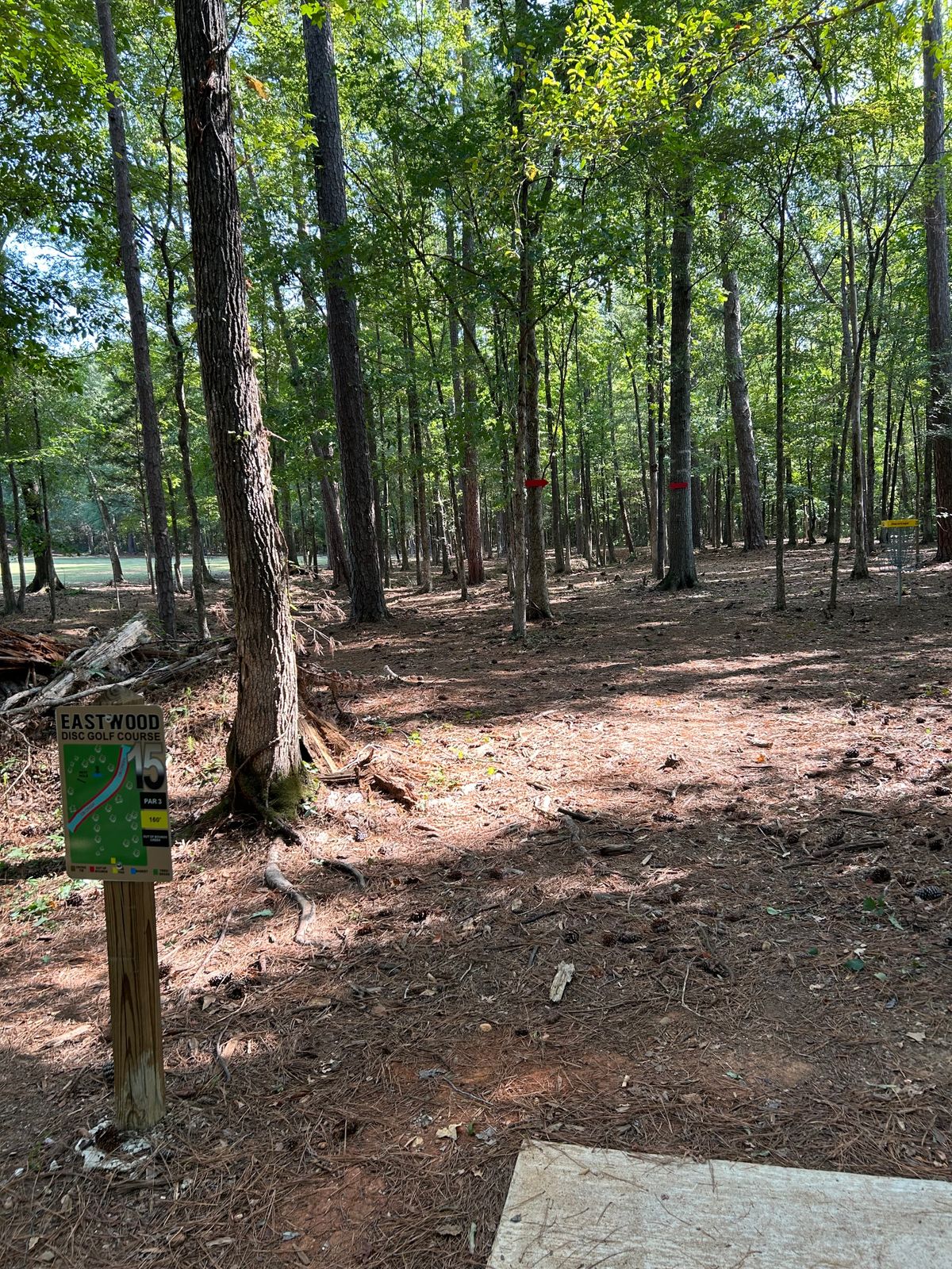 Hole 15 Tee