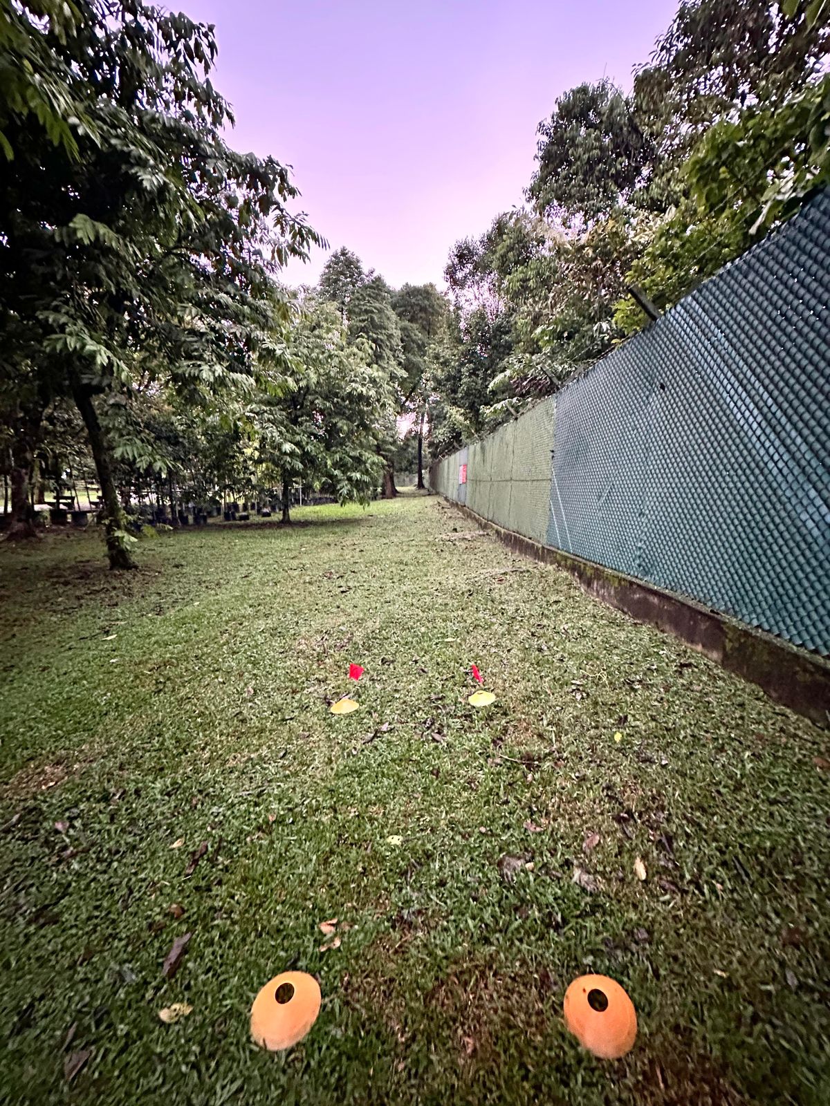 Hole 16 Teepad