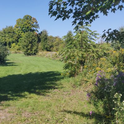 Hole 5 from tee