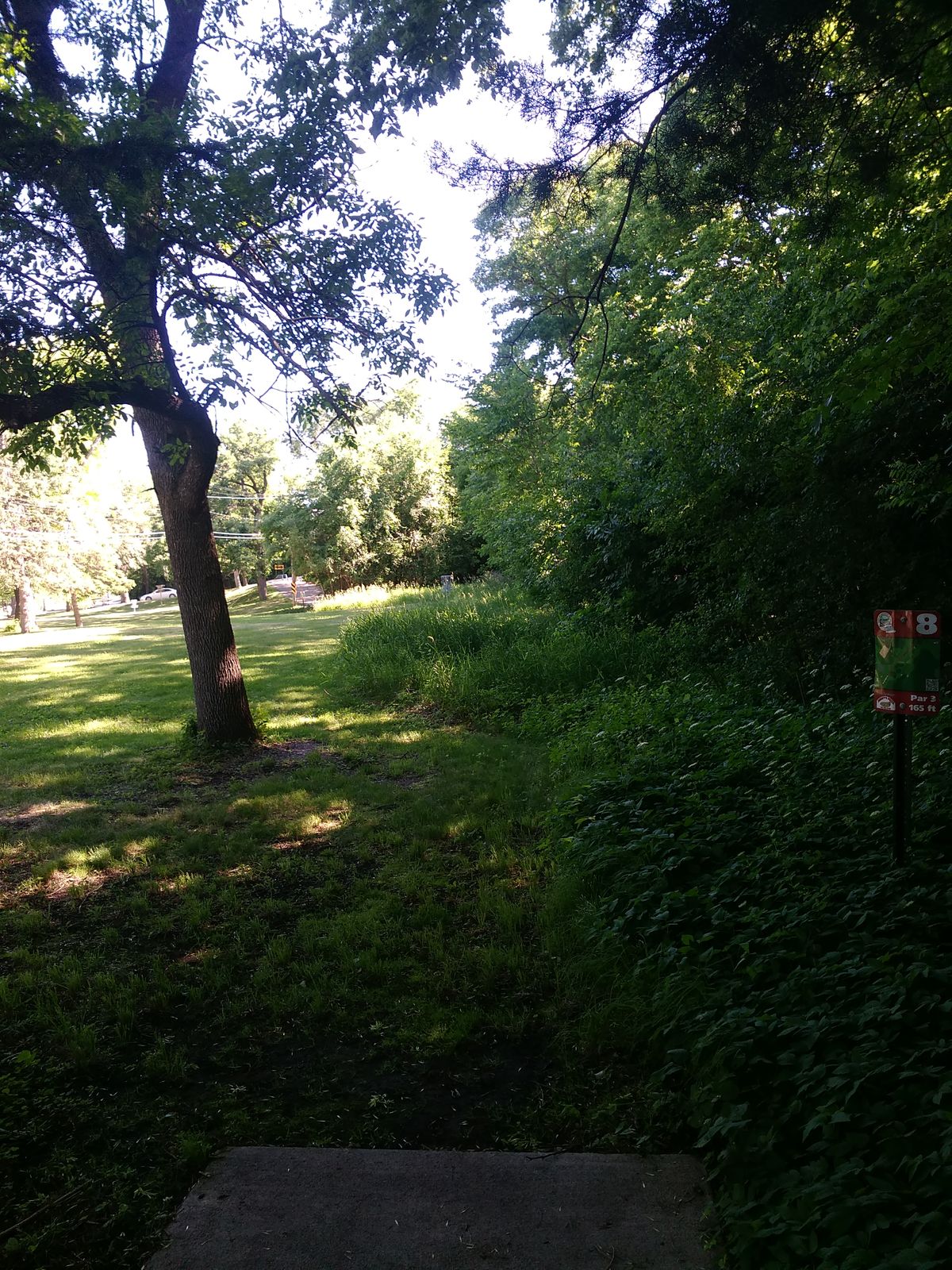 Hole 8