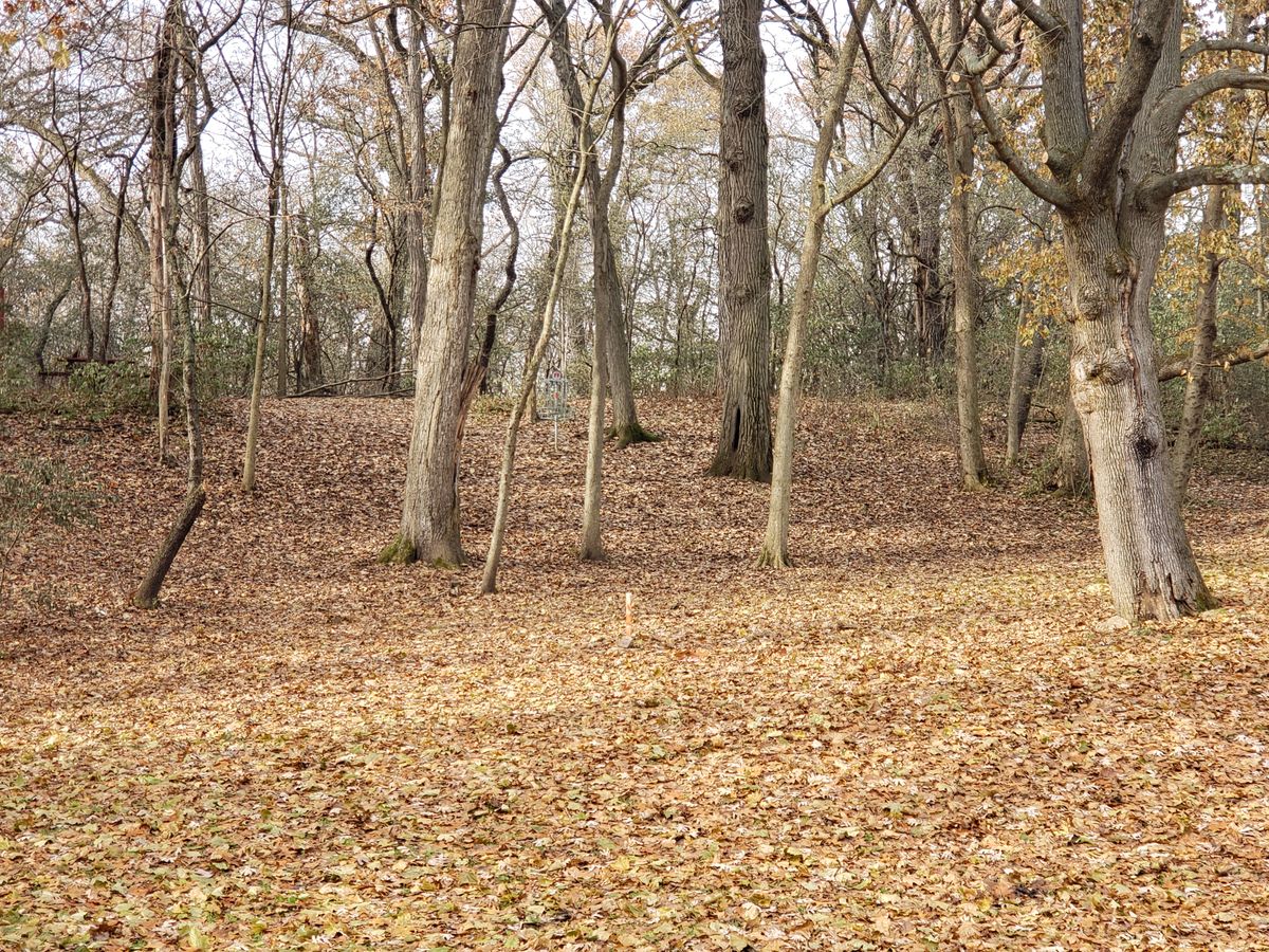 Hole 11