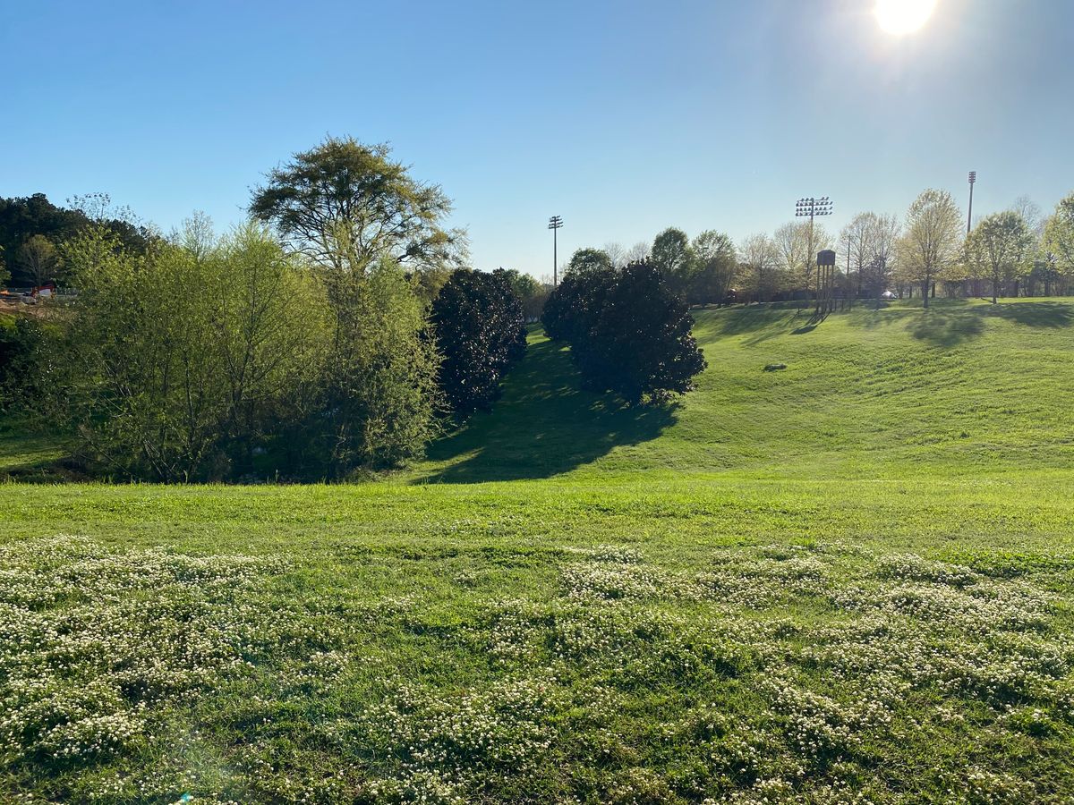 Hole 6 tee