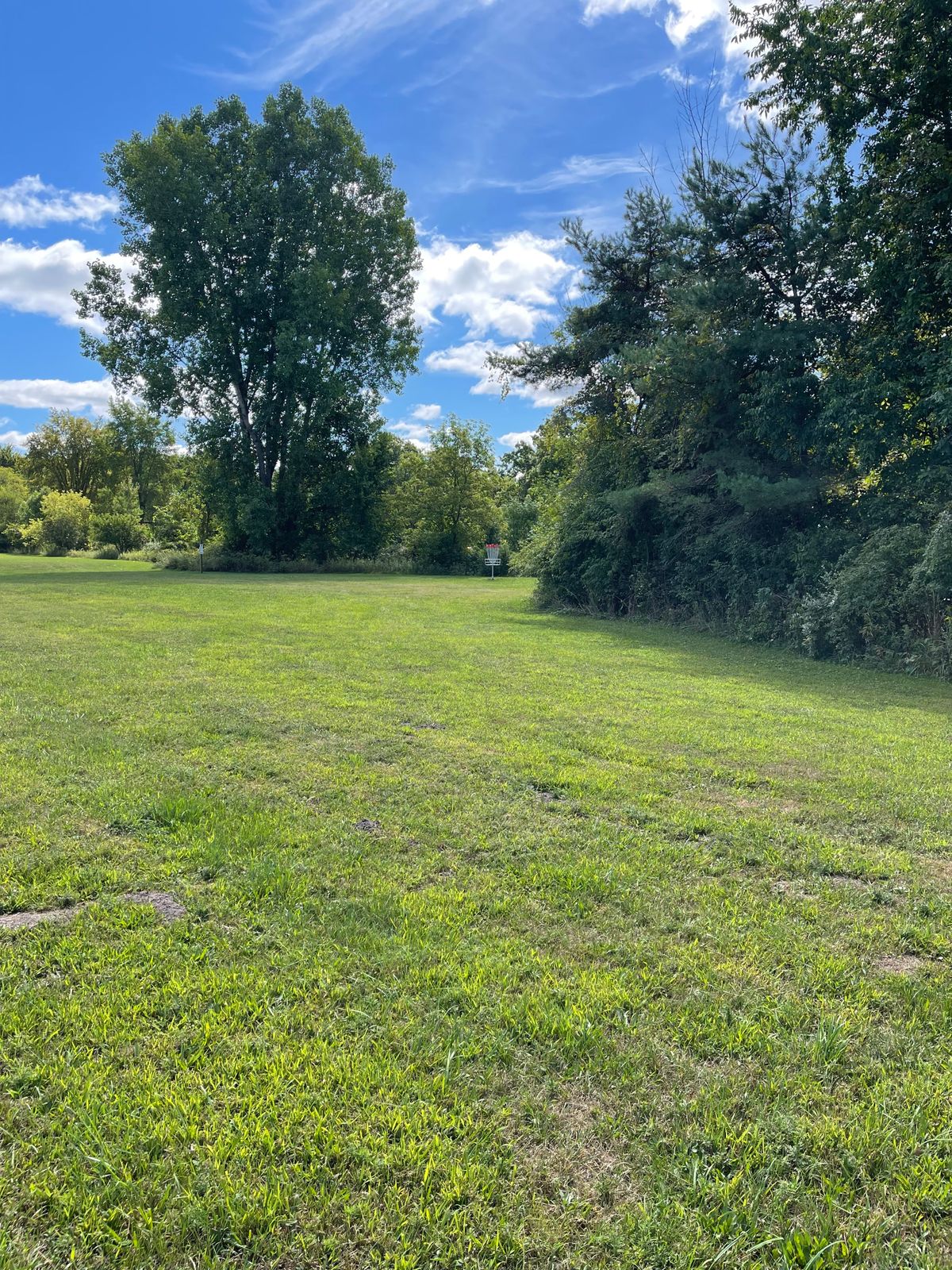 Hole 7 basket