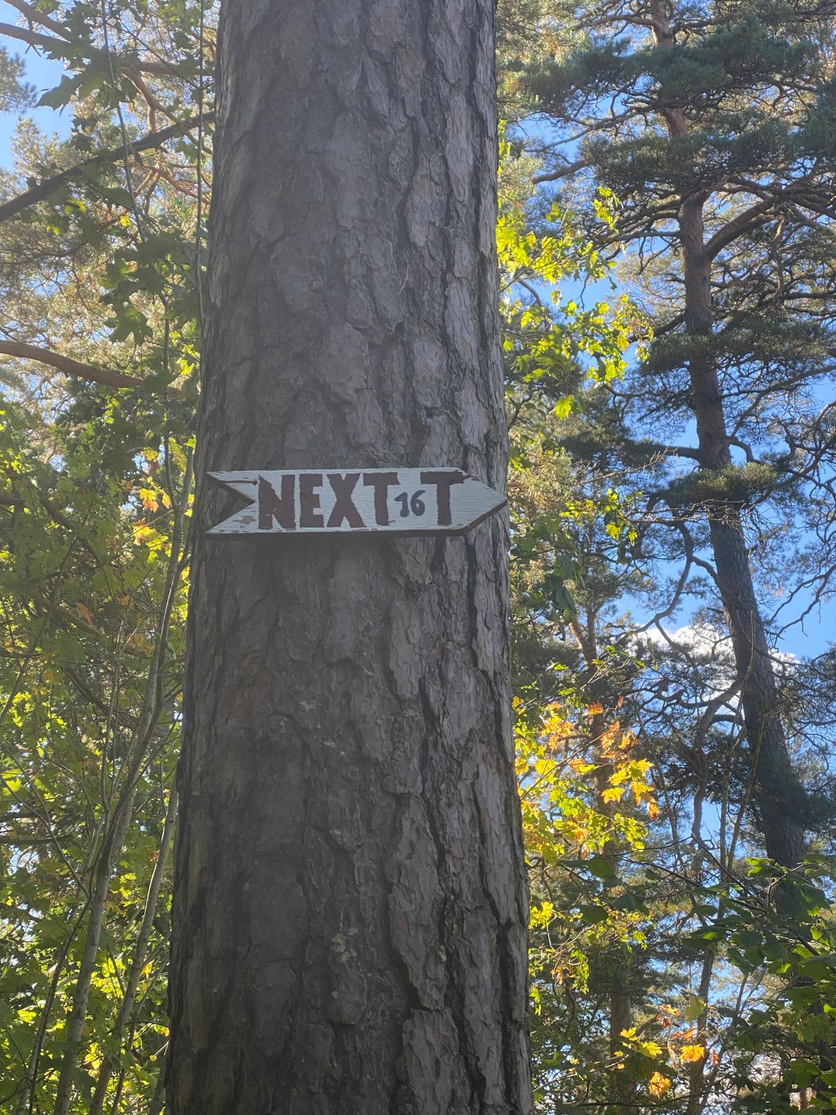 Direction sign to Hole #16